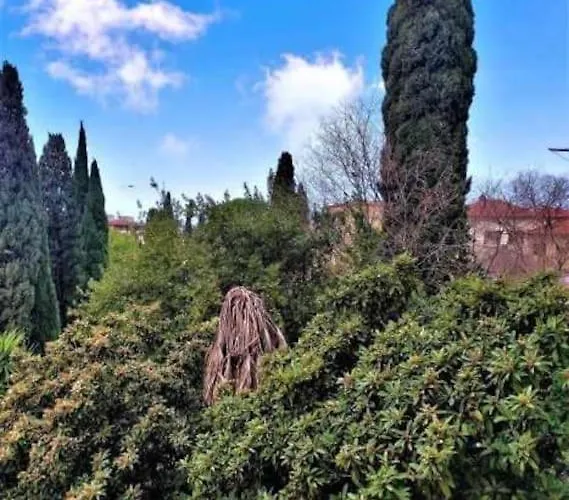 Casa Raffaello Careggi 아파트 피렌체